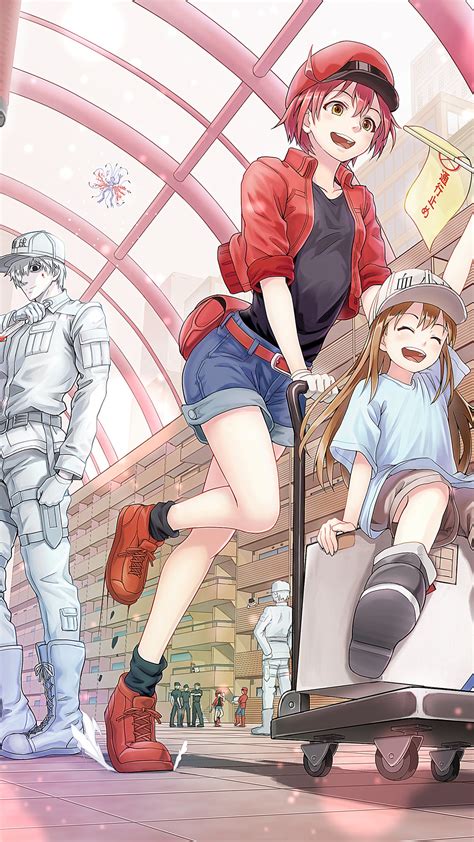 hataraku saibou download|Cells at Work .